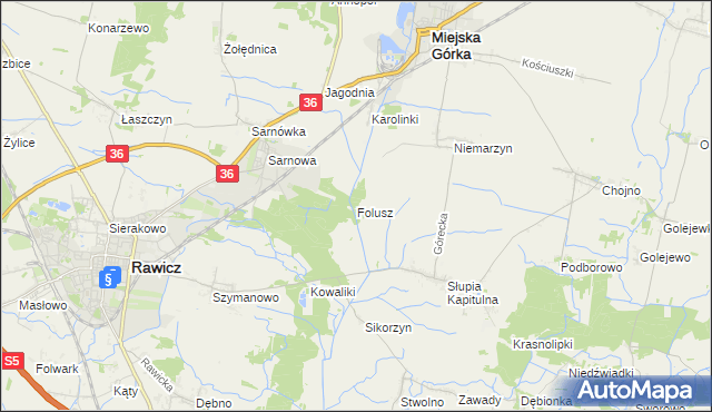 mapa Folusz gmina Rawicz, Folusz gmina Rawicz na mapie Targeo