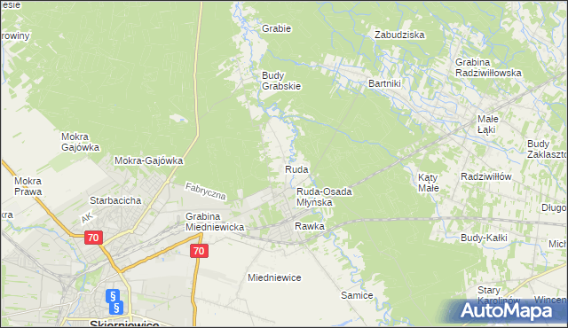 mapa Ruda gmina Skierniewice, Ruda gmina Skierniewice na mapie Targeo