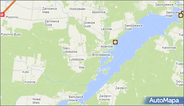 mapa Bronisławów gmina Wolbórz, Bronisławów gmina Wolbórz na mapie Targeo