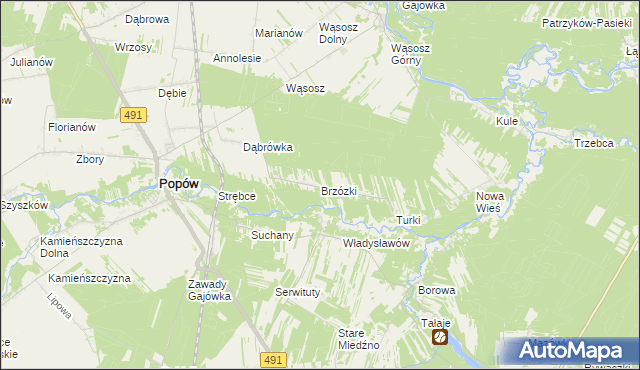 mapa Brzózki gmina Popów, Brzózki gmina Popów na mapie Targeo