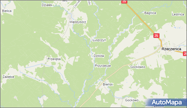 mapa Dzików gmina Rzeczenica, Dzików gmina Rzeczenica na mapie Targeo