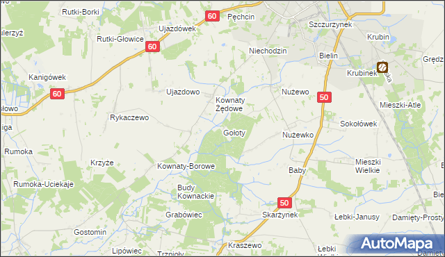 mapa Gołoty gmina Ciechanów, Gołoty gmina Ciechanów na mapie Targeo