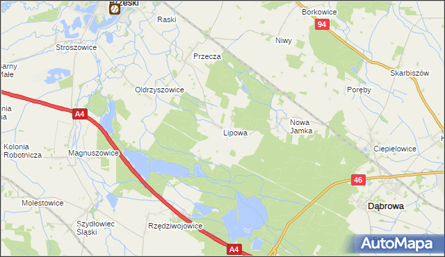 mapa Lipowa gmina Dąbrowa, Lipowa gmina Dąbrowa na mapie Targeo