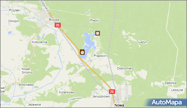 mapa Prądocin gmina Nowa Wieś Wielka, Prądocin gmina Nowa Wieś Wielka na mapie Targeo