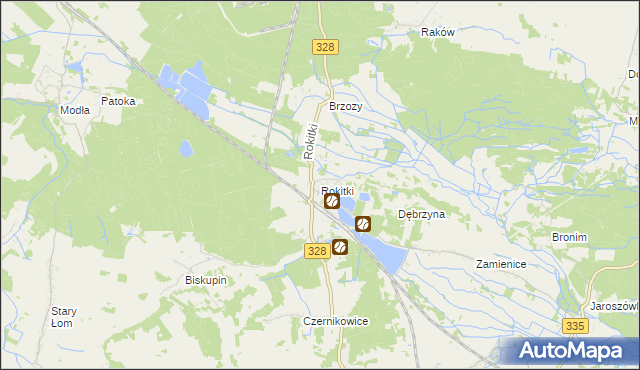 mapa Rokitki gmina Chojnów, Rokitki gmina Chojnów na mapie Targeo