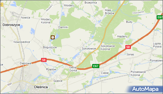 mapa Sokołowice gmina Oleśnica, Sokołowice gmina Oleśnica na mapie Targeo