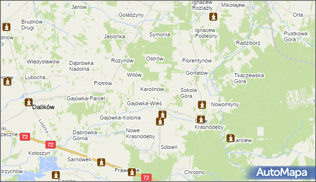 mapa Anastazew gmina Parzęczew, Anastazew gmina Parzęczew na mapie Targeo