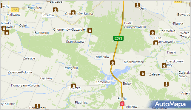 mapa Antoniów gmina Skaryszew, Antoniów gmina Skaryszew na mapie Targeo