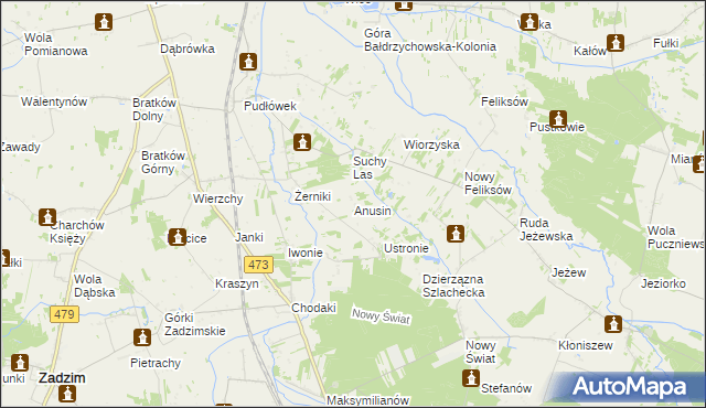 mapa Anusin gmina Zadzim, Anusin gmina Zadzim na mapie Targeo