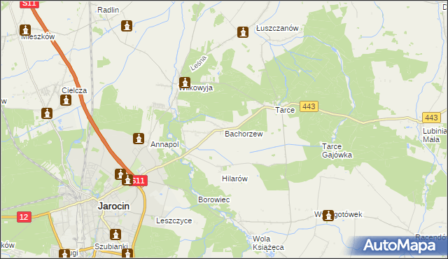 mapa Bachorzew, Bachorzew na mapie Targeo