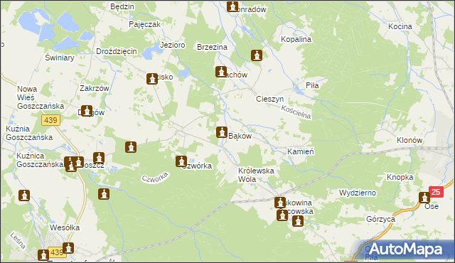 mapa Bąków gmina Międzybórz, Bąków gmina Międzybórz na mapie Targeo