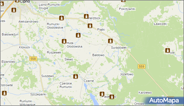 mapa Bałdowo gmina Wielgie, Bałdowo gmina Wielgie na mapie Targeo