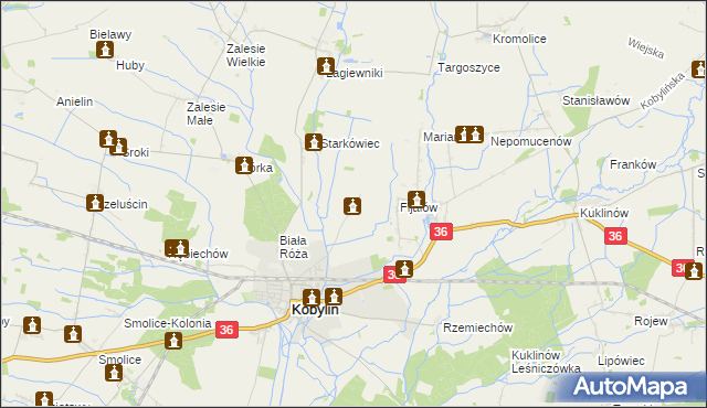 mapa Berdychów, Berdychów na mapie Targeo