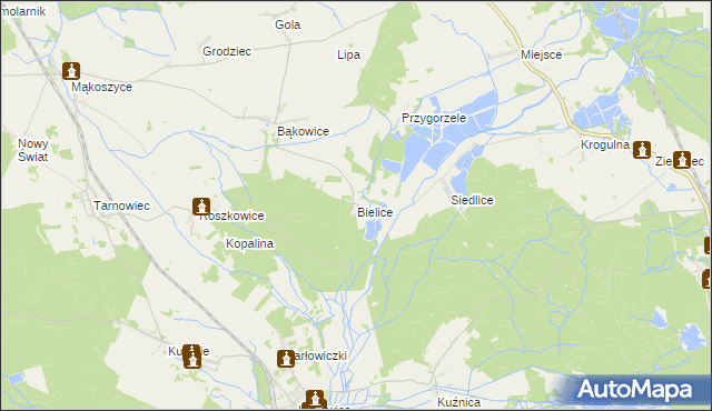 mapa Bielice gmina Świerczów, Bielice gmina Świerczów na mapie Targeo