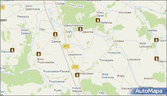 mapa Bogucice gmina Zadzim, Bogucice gmina Zadzim na mapie Targeo