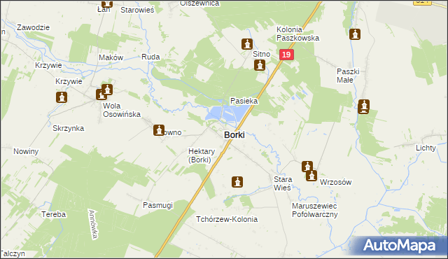 mapa Borki powiat radzyński, Borki powiat radzyński na mapie Targeo