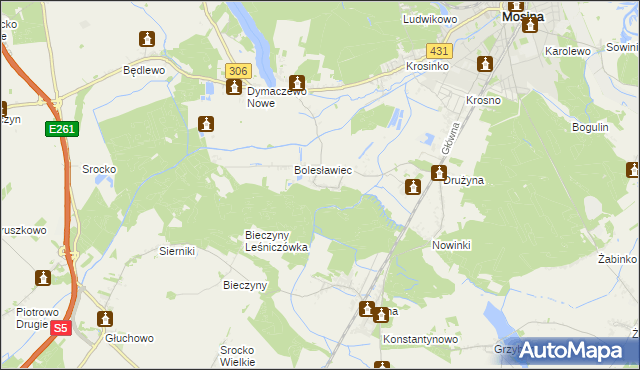 mapa Borkowice gmina Mosina, Borkowice gmina Mosina na mapie Targeo