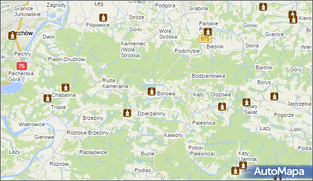 mapa Borowa gmina Zakliczyn, Borowa gmina Zakliczyn na mapie Targeo