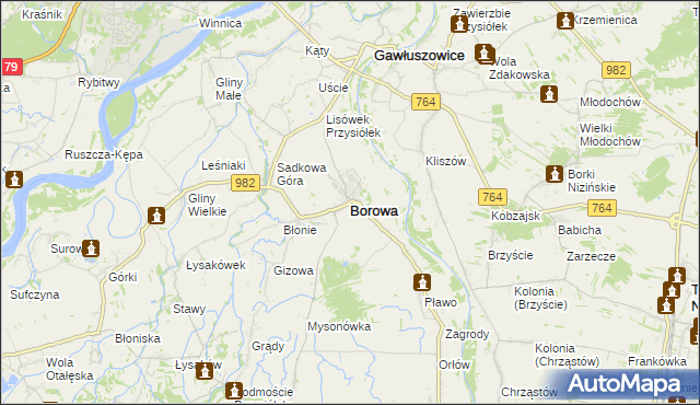 mapa Borowa powiat mielecki, Borowa powiat mielecki na mapie Targeo