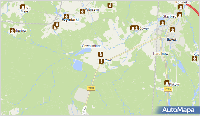 mapa Borowe gmina Iłowa, Borowe gmina Iłowa na mapie Targeo