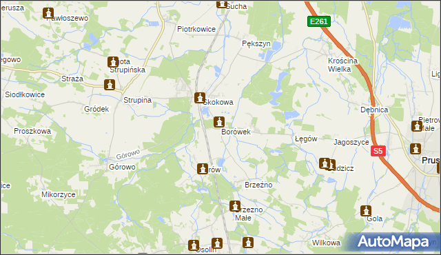 mapa Borówek gmina Prusice, Borówek gmina Prusice na mapie Targeo