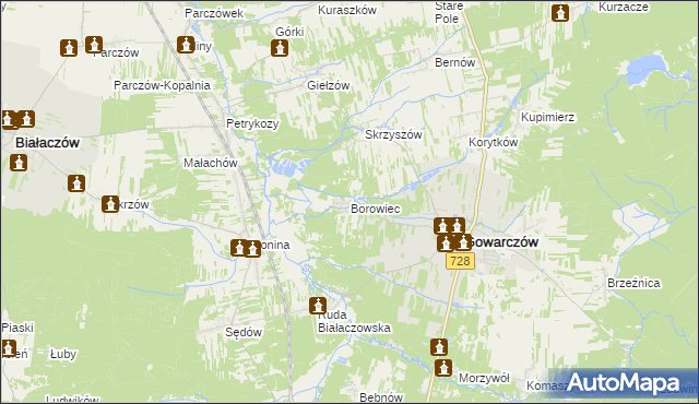 mapa Borowiec gmina Gowarczów, Borowiec gmina Gowarczów na mapie Targeo