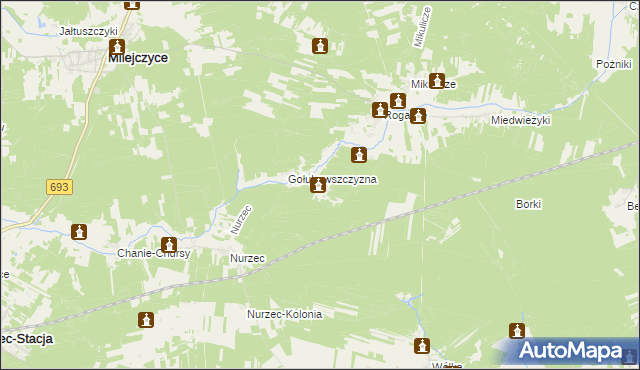 mapa Borowiki, Borowiki na mapie Targeo