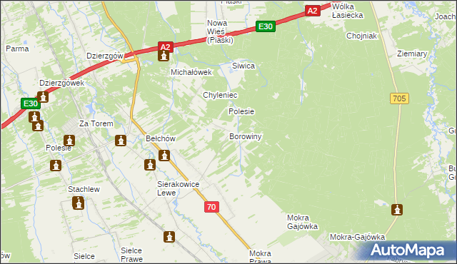 mapa Borowiny gmina Skierniewice, Borowiny gmina Skierniewice na mapie Targeo