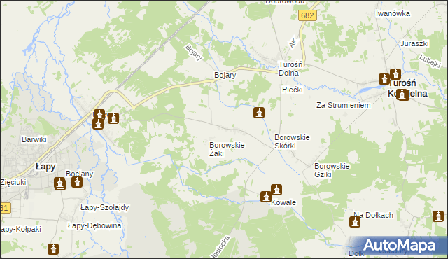 mapa Borowskie Cibory, Borowskie Cibory na mapie Targeo