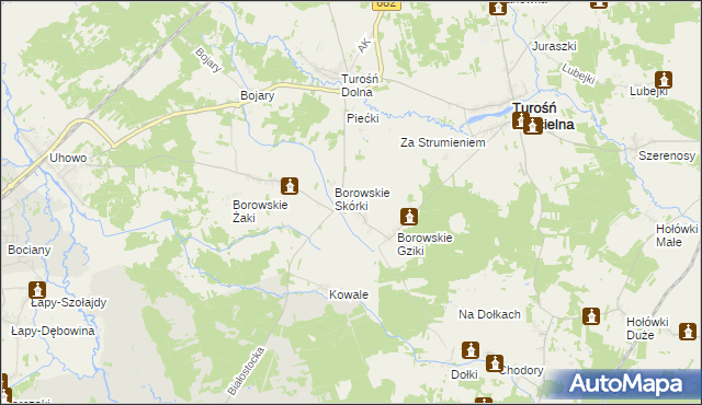 mapa Borowskie Michały, Borowskie Michały na mapie Targeo