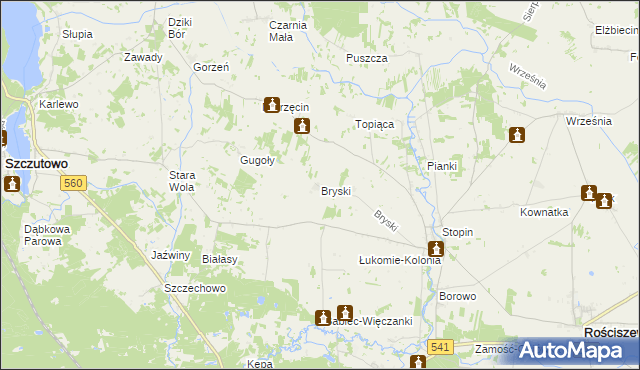 mapa Bryski gmina Rościszewo, Bryski gmina Rościszewo na mapie Targeo