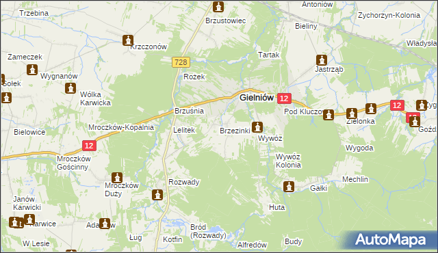 mapa Brzezinki gmina Gielniów, Brzezinki gmina Gielniów na mapie Targeo