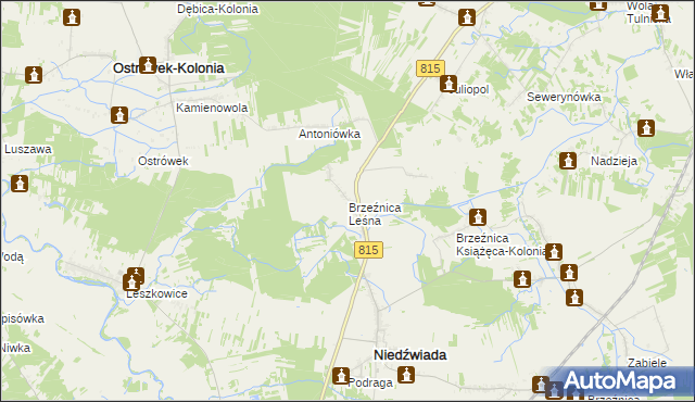 mapa Brzeźnica Leśna, Brzeźnica Leśna na mapie Targeo