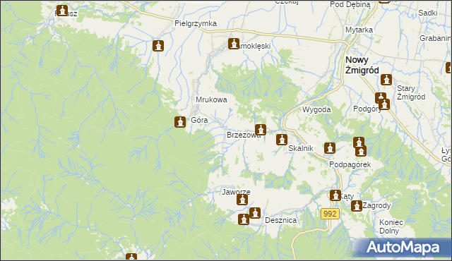 mapa Brzezowa gmina Nowy Żmigród, Brzezowa gmina Nowy Żmigród na mapie Targeo