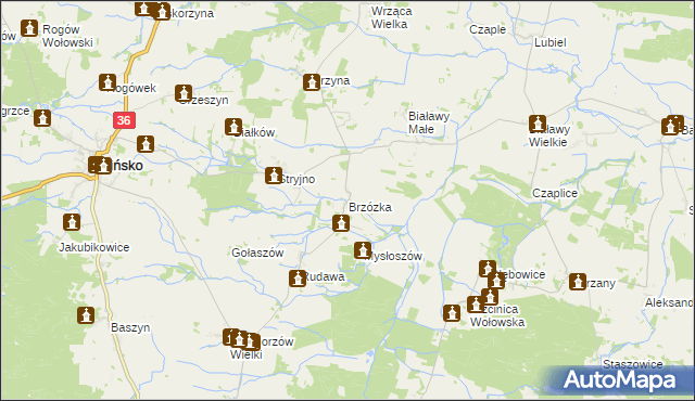 mapa Brzózka gmina Wińsko, Brzózka gmina Wińsko na mapie Targeo