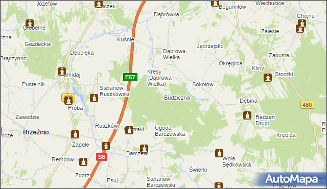 mapa Budziczna, Budziczna na mapie Targeo