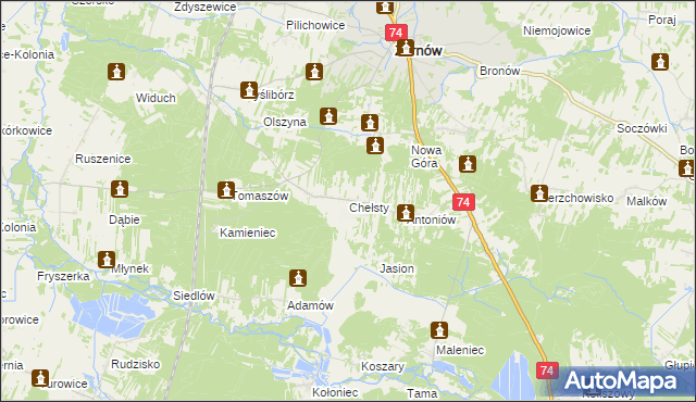 mapa Chełsty gmina Żarnów, Chełsty gmina Żarnów na mapie Targeo