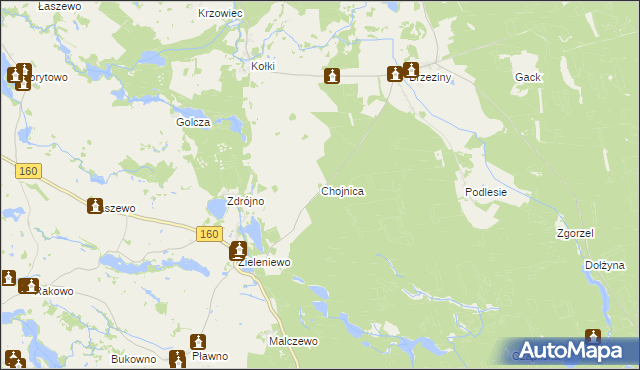 mapa Chojnica gmina Bierzwnik, Chojnica gmina Bierzwnik na mapie Targeo