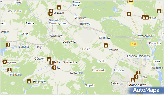 mapa Cieśle gmina Krasocin, Cieśle gmina Krasocin na mapie Targeo