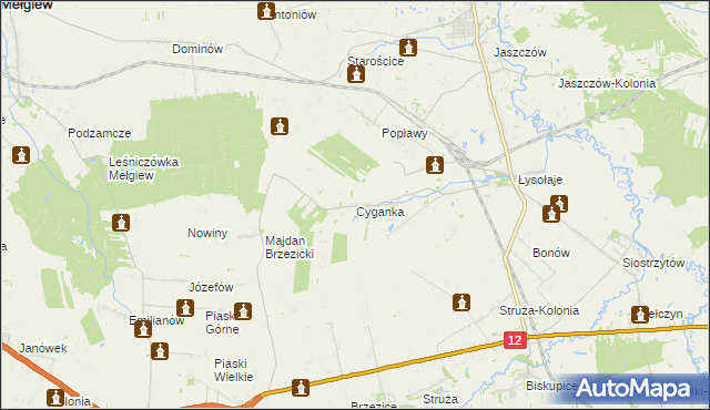 mapa Cyganka gmina Milejów, Cyganka gmina Milejów na mapie Targeo