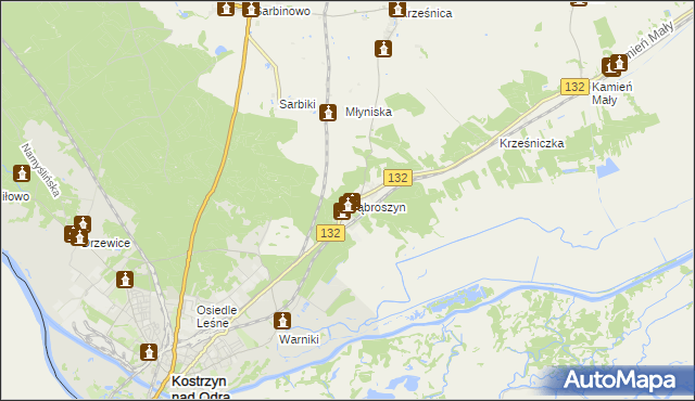 mapa Dąbroszyn gmina Witnica, Dąbroszyn gmina Witnica na mapie Targeo