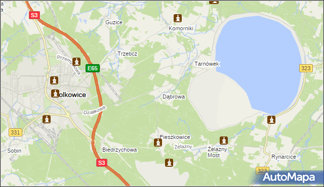 mapa Dąbrowa gmina Polkowice, Dąbrowa gmina Polkowice na mapie Targeo