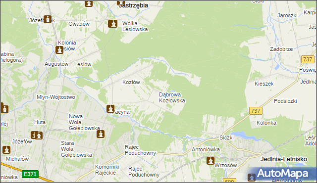 mapa Dąbrowa Kozłowska, Dąbrowa Kozłowska na mapie Targeo