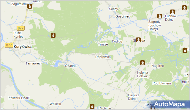 mapa Dąbrowica gmina Kuryłówka, Dąbrowica gmina Kuryłówka na mapie Targeo