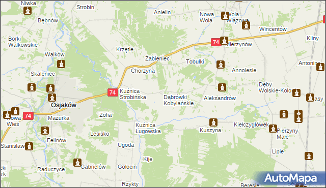 mapa Dąbrówki Kobylańskie, Dąbrówki Kobylańskie na mapie Targeo