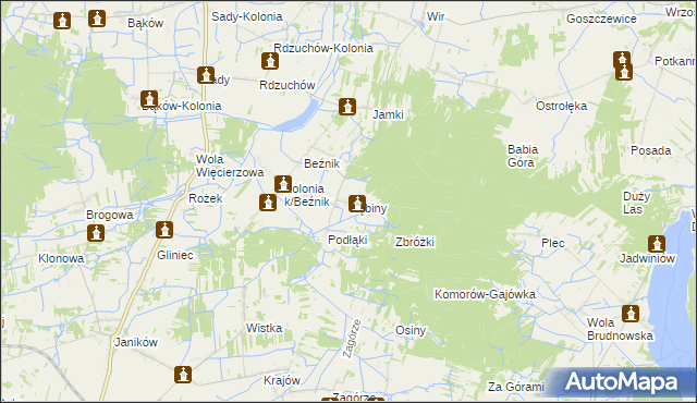 mapa Dębiny gmina Przysucha, Dębiny gmina Przysucha na mapie Targeo