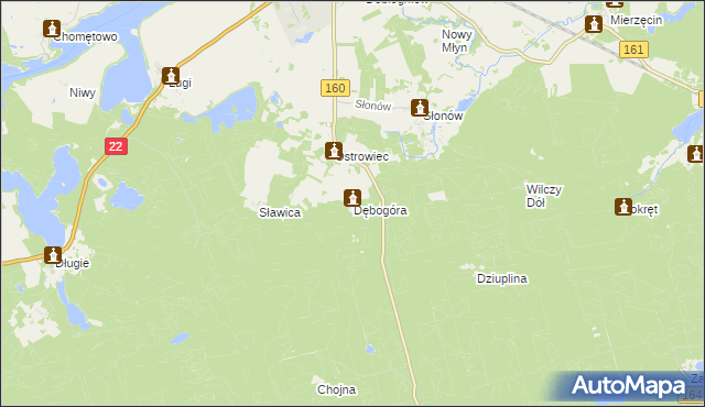 mapa Dębogóra gmina Dobiegniew, Dębogóra gmina Dobiegniew na mapie Targeo