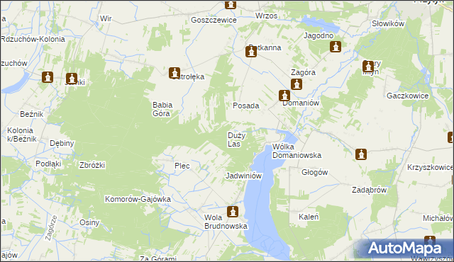 mapa Duży Las gmina Przytyk, Duży Las gmina Przytyk na mapie Targeo