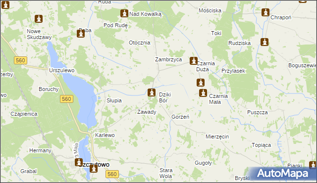 mapa Dziki Bór, Dziki Bór na mapie Targeo