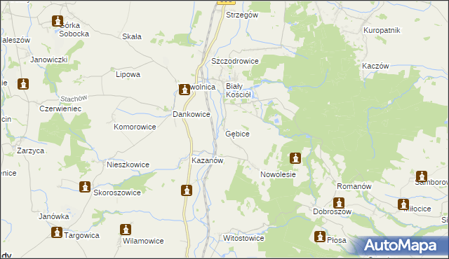 mapa Gębice gmina Strzelin, Gębice gmina Strzelin na mapie Targeo